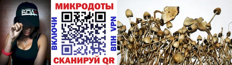 Купить  Макушино  Псилоцибиновые грибы Psilocybe 
