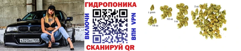МАРИХУАНА ГИДРОПОН  Купить где  Макушино 